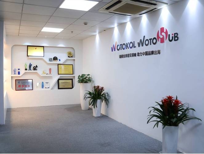 卧兔领航 杭州网络科技公司智启品牌出海新篇章